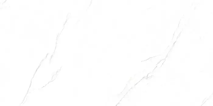 Плитка керамогранитная AZARIO VALENCIA WHITE 80х160 Matt (P231123009M)