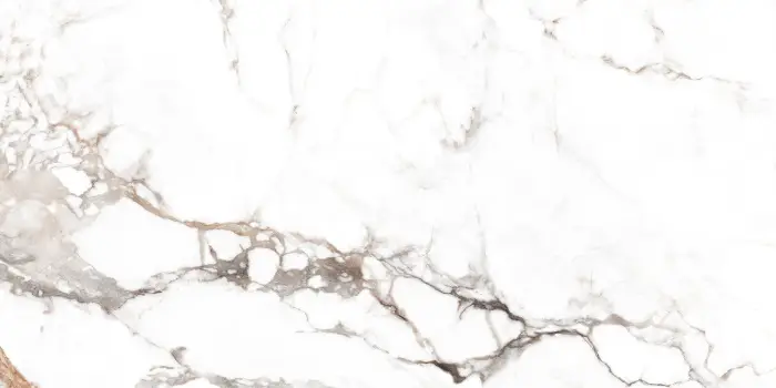 Плитка керамогранитная AZARIO REGAL BORGHINI GREY 80х160 Finish glossy (F231123019FG)