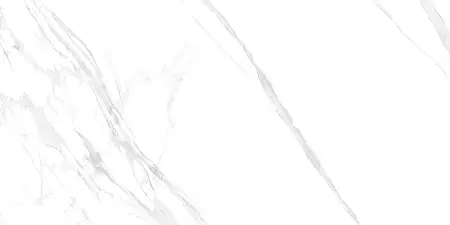 Плитка керамогранитная AZARIO OCTAVIANO SATVARIO 60х120 Glossy (F4110821125G)