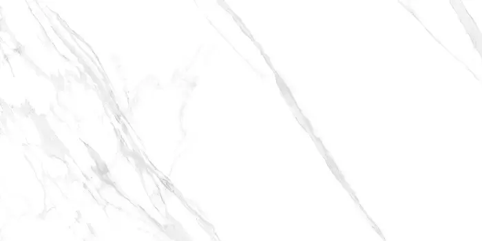 Плитка керамогранитная AZARIO OCTAVIANO SATVARIO 60х120 Glossy (F4110821125G)