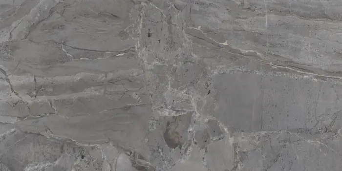 P231123005G ELEGANT GRIS (4)