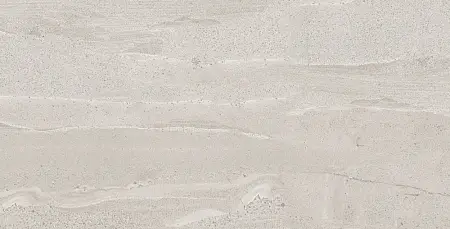 Плитка керамогранитная AZARIO SHELLY YONA 60х120 Matt (P259632M)