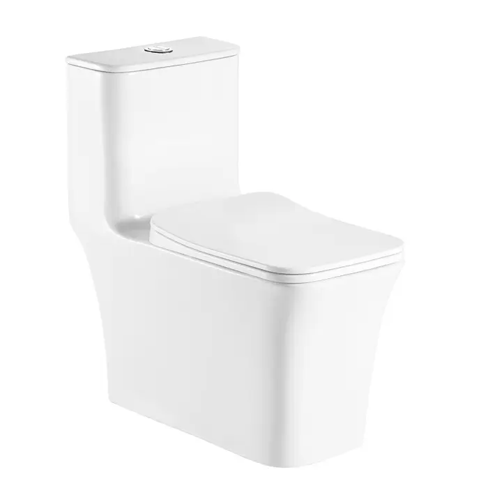 Унитаз-моноблок AZARIO Гресса 705х370х760 напольный, безободковый, в комплекте с сиденьем дюропласт микролифт, белый (AZ-1111)