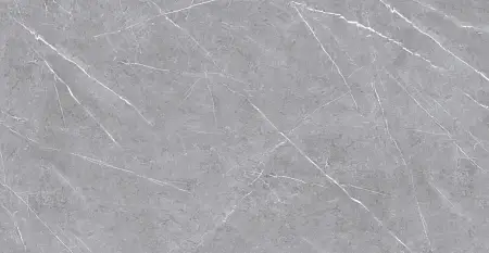 Плитка керамогранитная AZARIO ASMUS GREY 60х120 Glossy (F4070821120G)