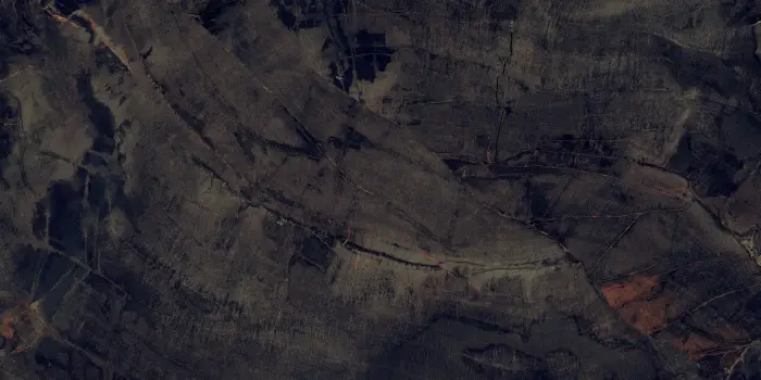 P231123003HG FOSSIL AGATE (4)