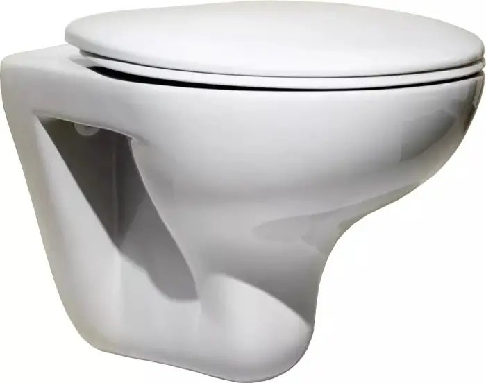 Унитаз подвесной Roca Mateo, белый (7346200000) 