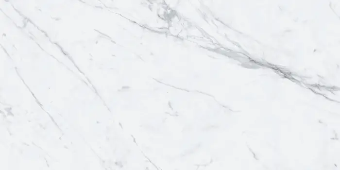 P231123006G STATUARIO EXTRA  (4)