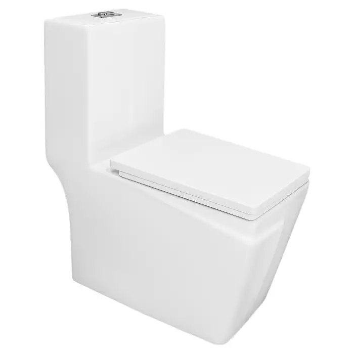 Унитаз-моноблок Azario RAYO 355х685х775 безободковый,с системой смыва Rimless, с быстросъемным сиденьем микролифт (AZ-6385)